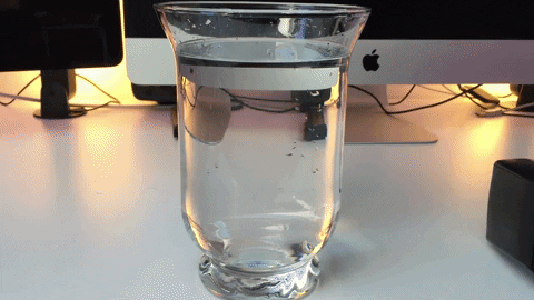 michagruszka giphyupload GIF