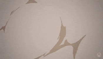 Friendship Clear Up GIF by Xbox