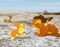 drunk rainbow GIF by Carmen Tiffany