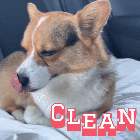 Milo GIF