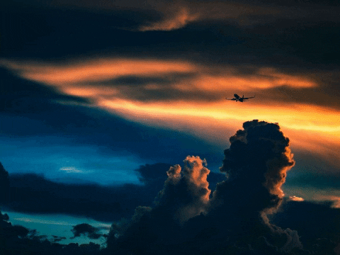 GIF by FranchiseONE.de