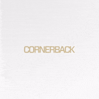 Nfl GIF by New Orleans Saints