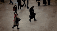 Jim Carrey GIF by Coolidge Corner Theatre
