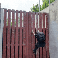 Wall Climb GIF