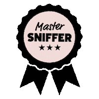 Cat Dog Sticker by Itch.