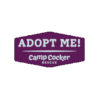 Campcocker2025 Sticker by Camp Cocker Rescue