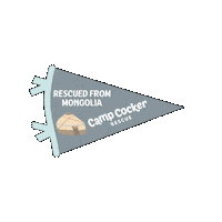 Campcocker2025 Sticker by Camp Cocker Rescue