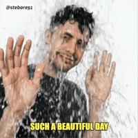 Sarcastic Hands Up GIF