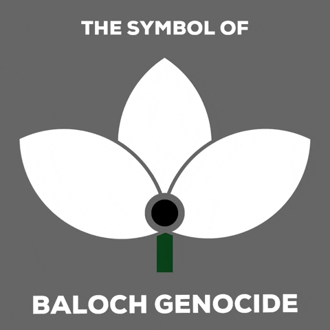 Genocide Balochistan GIF by Chiragh Baloch