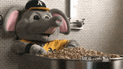 Bath Peanut GIF by MLB