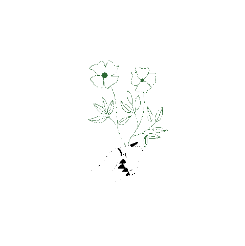 Plant Mama Sticker by Shop Dixi