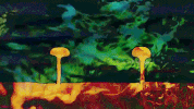 chadvangaalen animation trippy sub pop subpop GIF