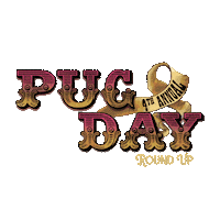 Chicago Rodeo Sticker by Maplewood Brewery & Distillery