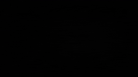 OnFlowStudio giphygifmaker video rec audiovisual GIF