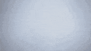 Littlerocksoc GIF by Little Rock Athletics