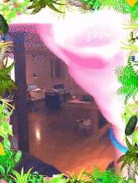 framebeta GIF