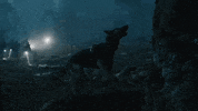 barking the returned GIF by SundanceTV
