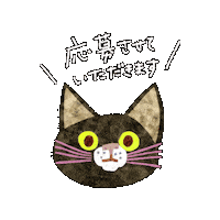 Cat ねこ Sticker