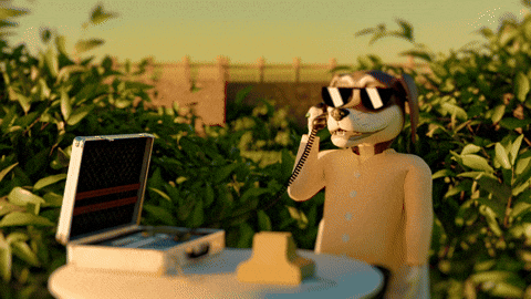 ChesterAbstract giphyupload dog money crypto GIF