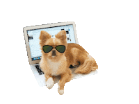 petokoto dog hana 犬 はな Sticker
