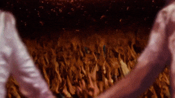Cheech And Chong Smoke GIF by Cheech & Chong’s Last Movie
