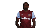 Premier League Sport Sticker by West Ham United