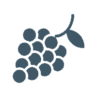 Elaisian vino agricultura agriculture uva Sticker