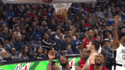 GIF by NBA