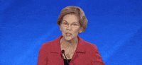 Democratic Debate GIF by GIPHY News