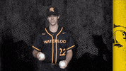 Black And Gold Baseball GIF by Waterloo Warriors