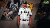 north dakota state baseball GIF by NDSU Athletics