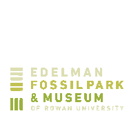 TheFossilPark efm edelman fossil park museum dinosaur museum the fossil park Sticker