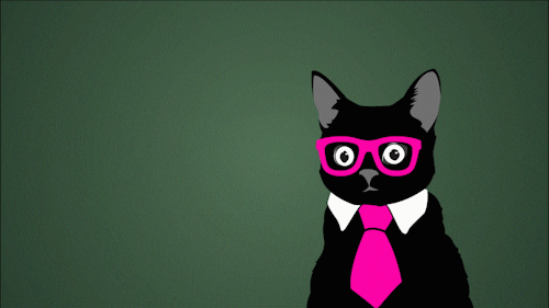 Klausapp giphyupload cat confused thinking GIF