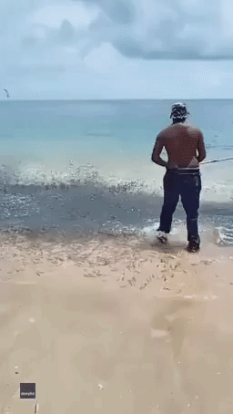 Fearless Fishermen Compete With Sharks for Their Catch