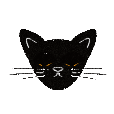 Black Cat Sticker