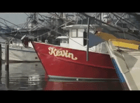 mississippi GIF