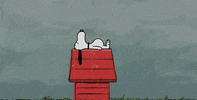 snoop high life GIF