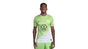 In Love Football Sticker by VfL Wolfsburg