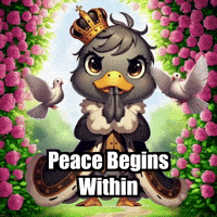 Wisdom Devotion GIF by sirduckbeth