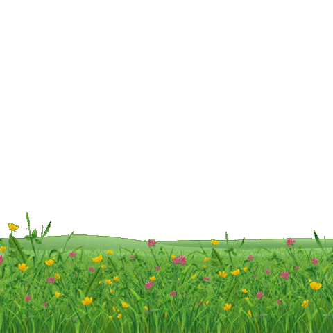 Agropecuária Sticker by Conexão Agricola