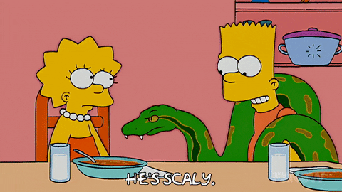 Lisa Simpson Episode 20 GIF by The Simpsons