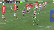 Try Nrl GIF by Canberra Raiders