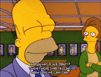 homer simpson episode 6 GIF