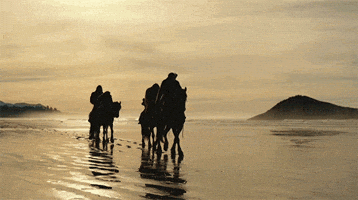 GIF by War for the Planet of the Apes