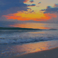 Beach Ocean GIF by Yevbel