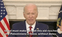 Joe Biden GIF by GIPHY News