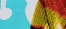 cash cash matches GIF by Big Beat Records