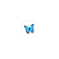 elistorycriativo borboleta borboletas sticker butterfly sticker borboleta Sticker