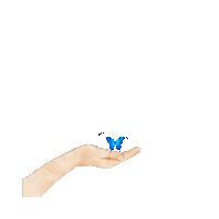 elistorycriativo mao borboleta elistorycriativo butterfly Sticker