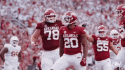 College Football Touchdown GIF by Arkansas Razorbacks